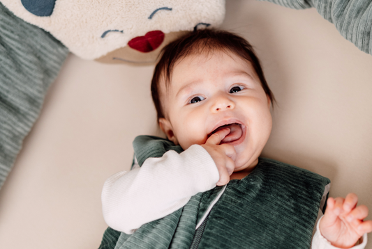 Willkommen bei Odenwälder BabyNest®