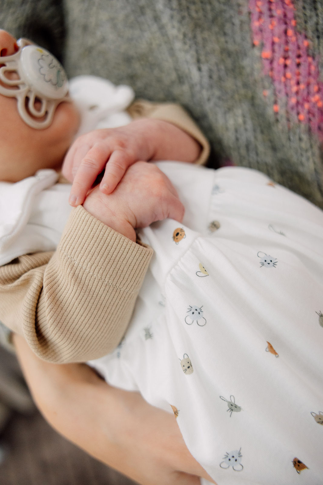 Organic Cotton Ganzjahres Schlafsack ♻️ – Odenwälder BabyNest